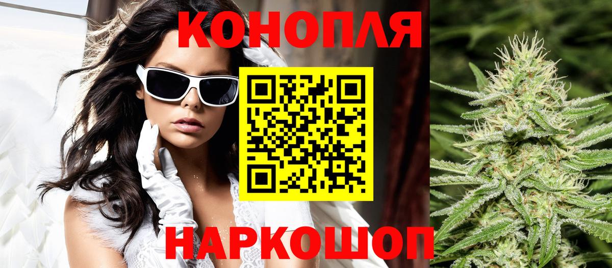 Бошки Шишки конопля Кудрово